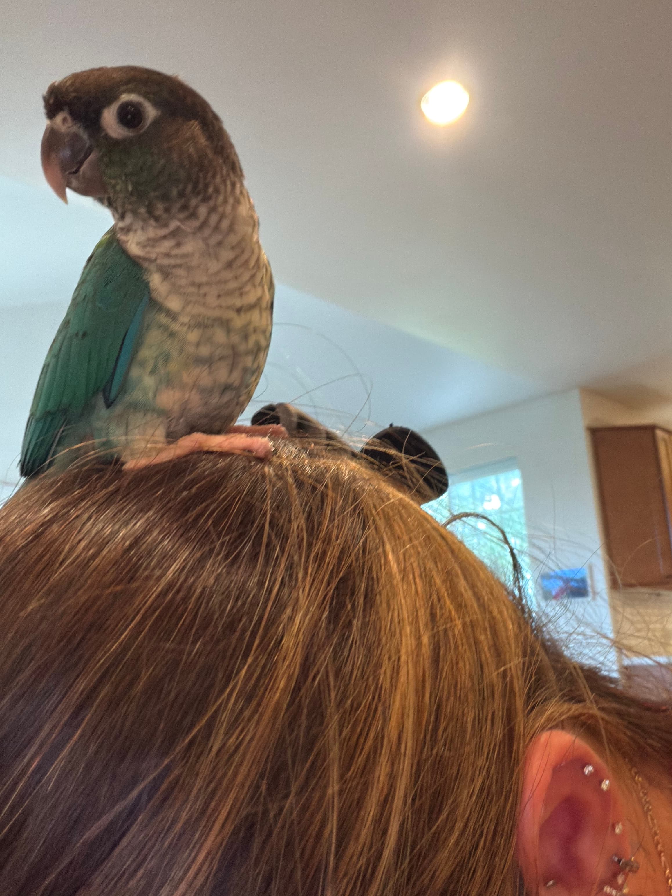 A pet cared for by Happy Tails Pet Care