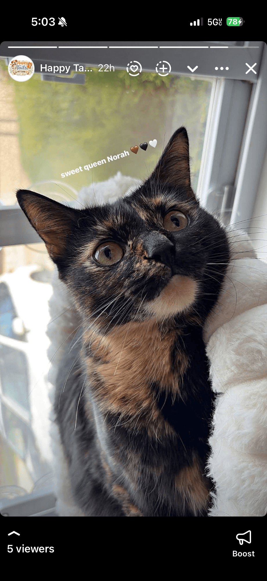 A pet cared for by Happy Tails Pet Care
